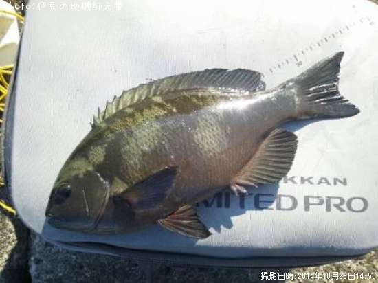 �����᥸��