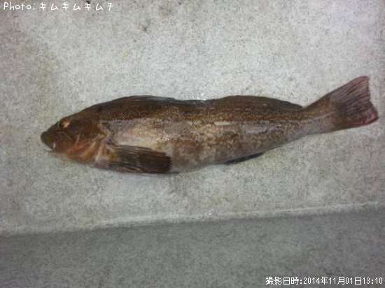 �����ʥ�