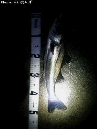 �����Х�