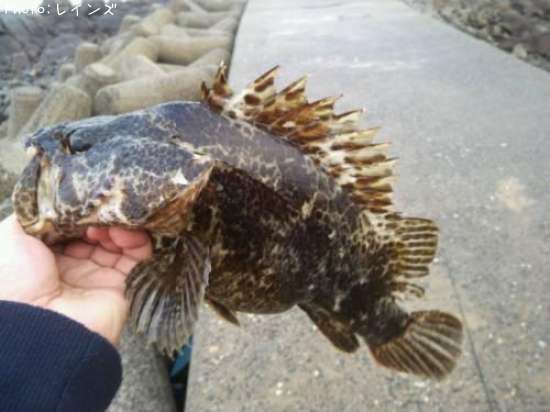 �����Υ���Х�