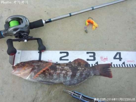 �����ʥ�