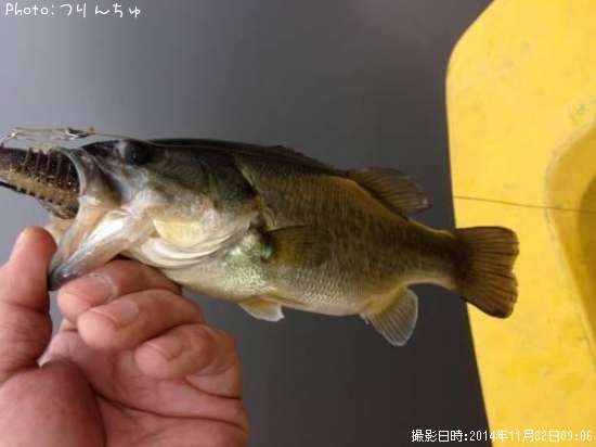 �֥�å��Х�