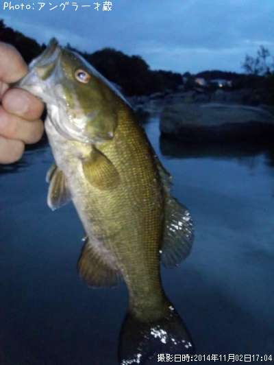 ���⡼��ޥ����Х�