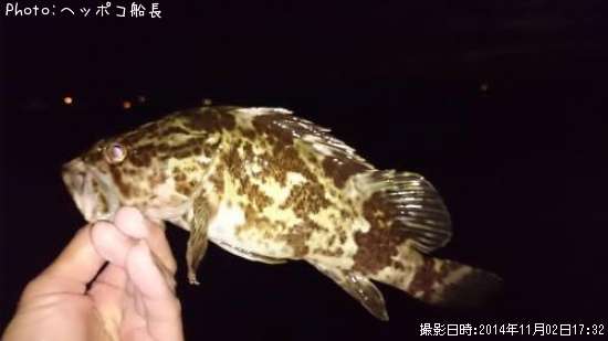 �����Υ���Х�