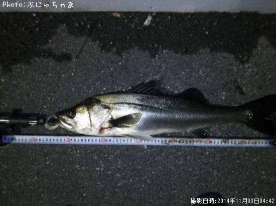 �����Х�