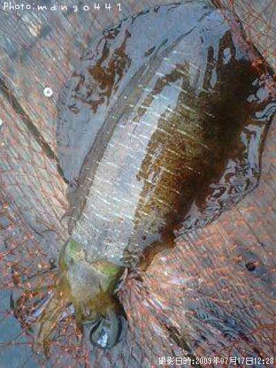 �����ꥤ��