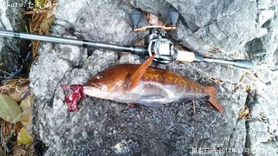 �����ʥ�