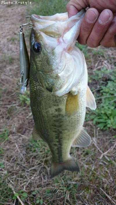 �֥�å��Х���