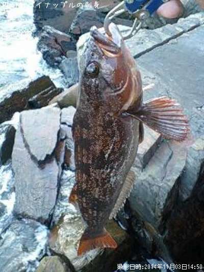 �����ʥ�