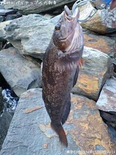 �����ʥ�