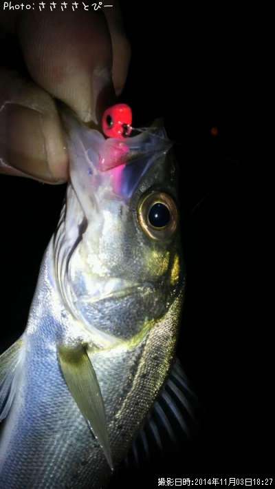 �����Х���