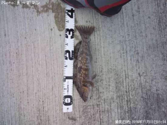 �����ʥ�