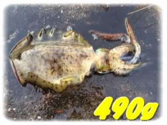 �����ꥤ��