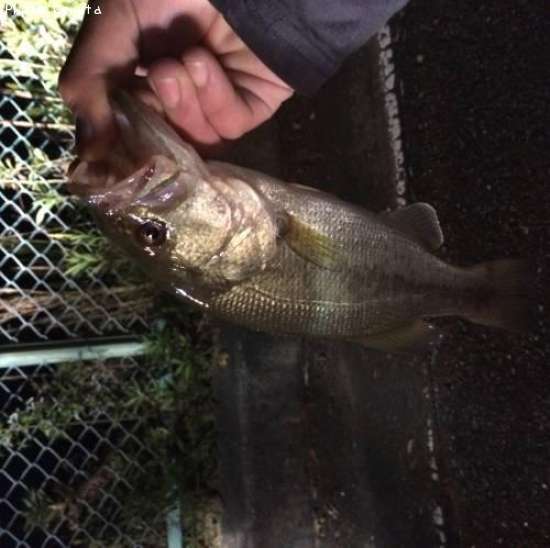 �֥�å��Х�