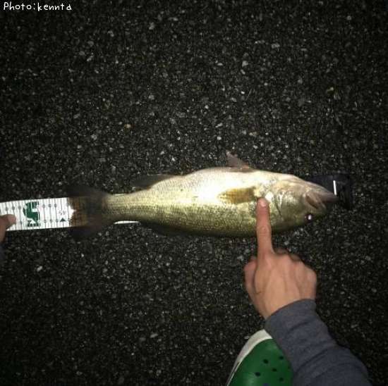 �֥�å��Х�