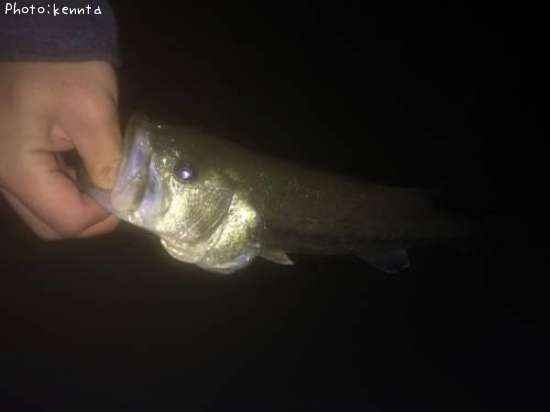 �֥�å��Х�