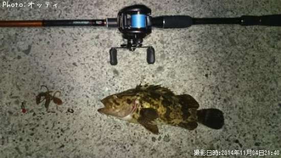 �٥å�������