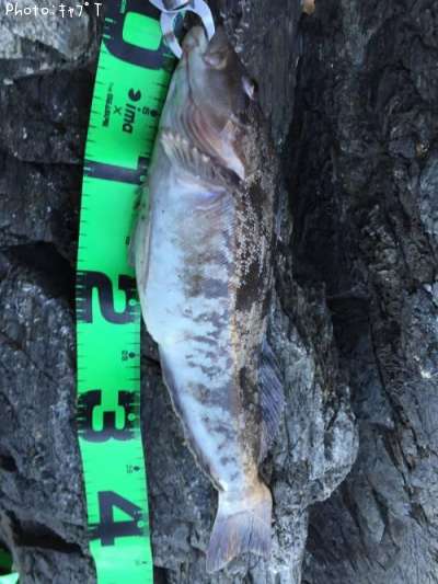 �����ʥ�