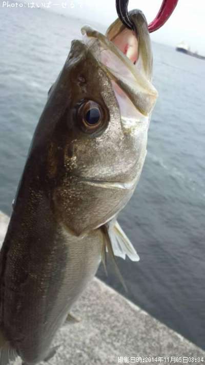 �����Х�