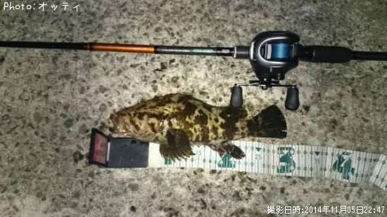 �٥å�������