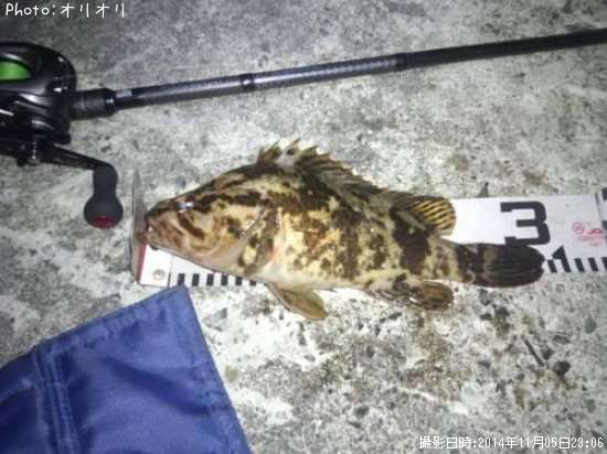 �٥å�������