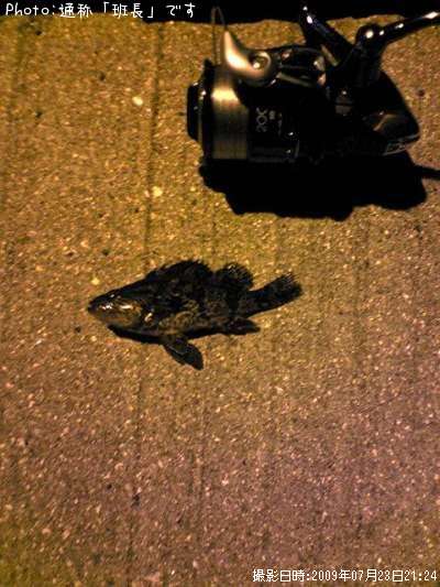 �����Υ�