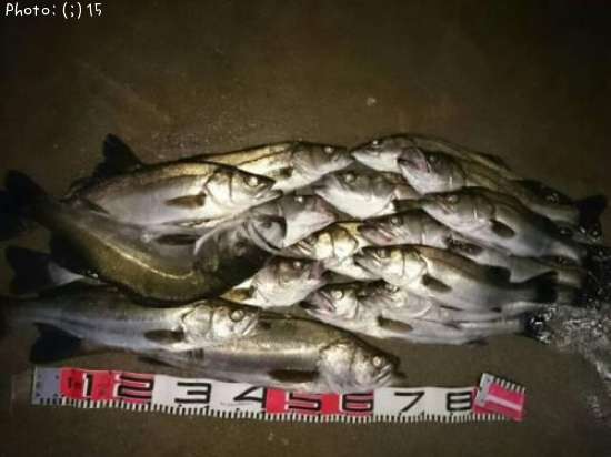 �����Х�