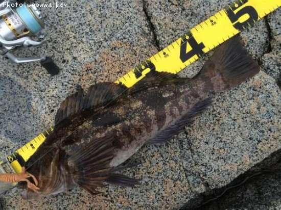 �����ʥ�