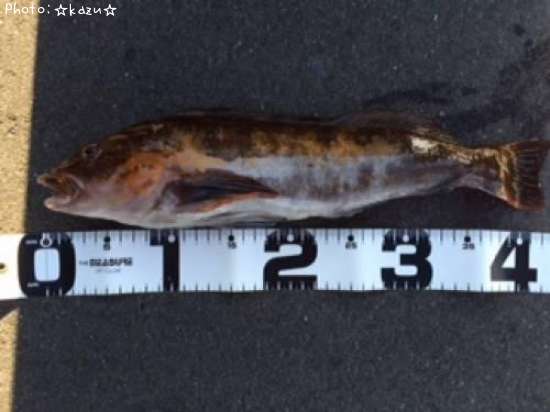 �����ʥ�