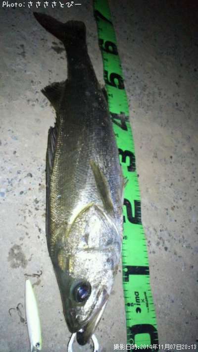 �����Х�