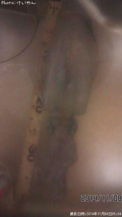 �����ꥤ��