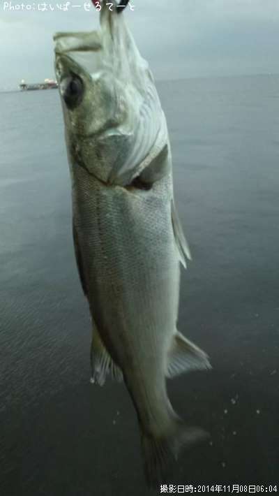 �����Х�