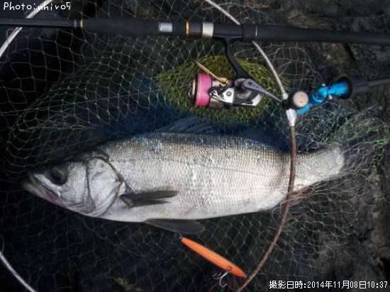 �ҥ饹����