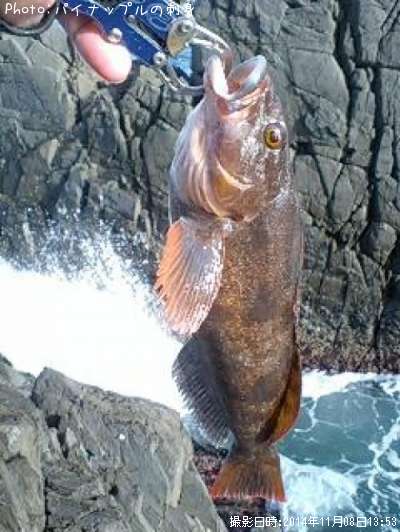 �����ʥ�