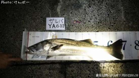 �����Х�