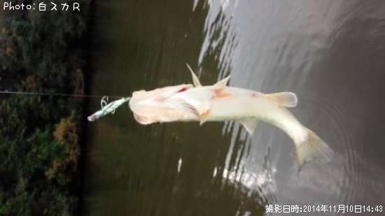 �顼���ޥ����Х�