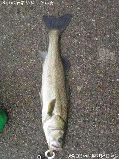 �����Х�