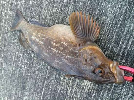 �����ʥ�