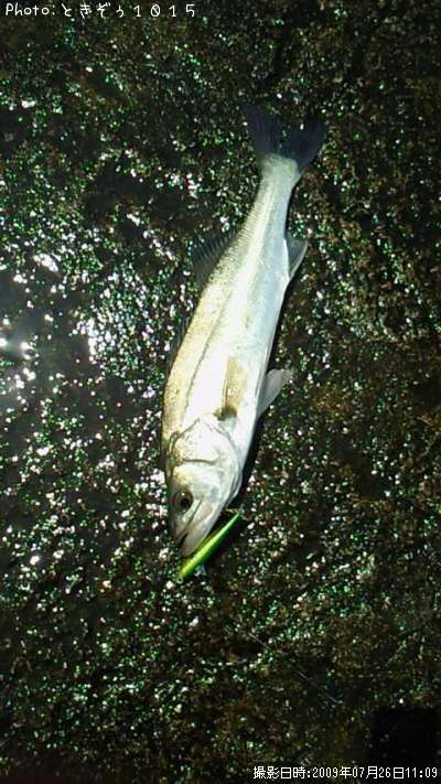 �����Х�