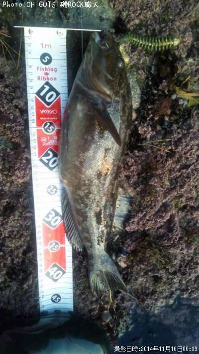 �����ʥ�