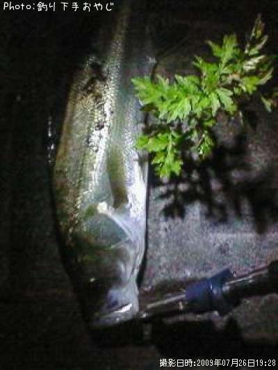 �����Х�