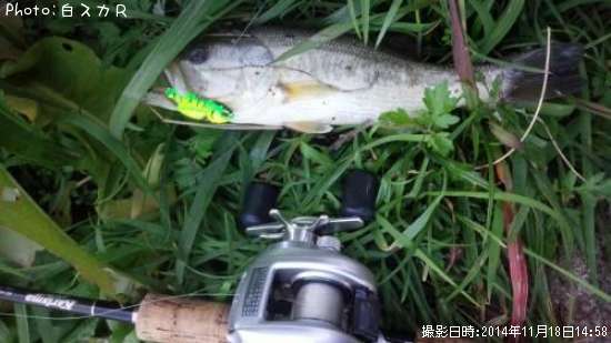 �顼���ޥ����Х�