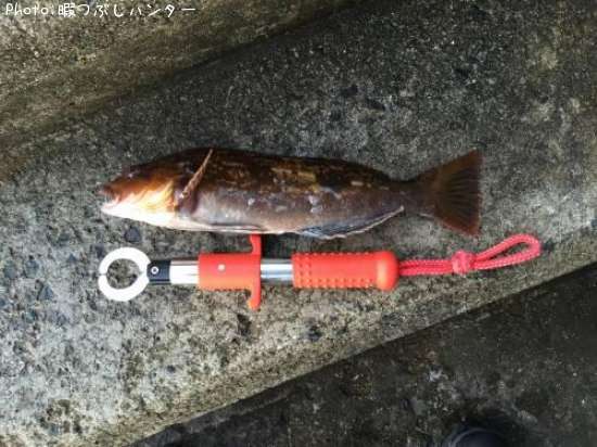 �����ʥ�