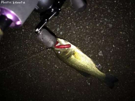 �֥�å��Х�