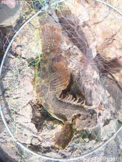 ���ॷ������