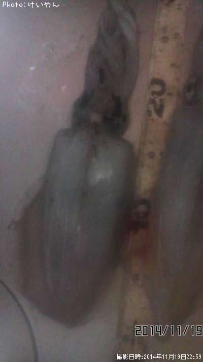 �����ꥤ��