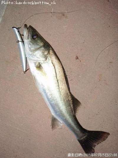 �����Х�