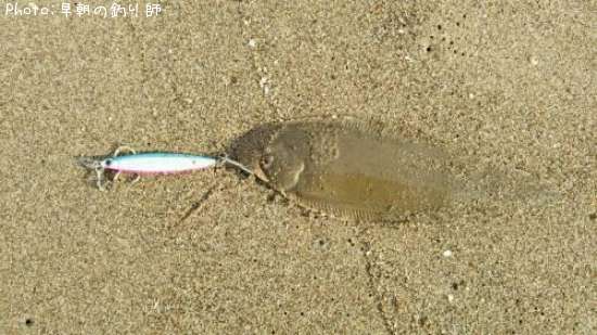 �����ҥ��