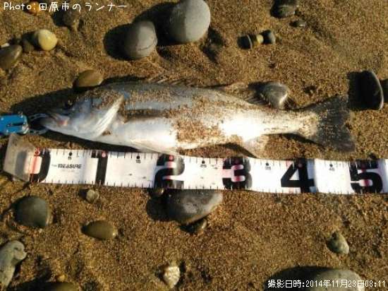 �����Х�