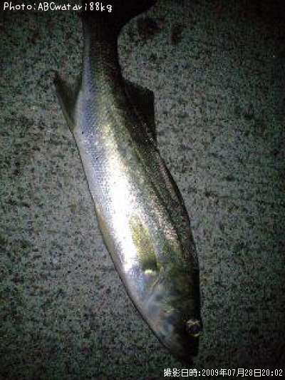 �����Х�